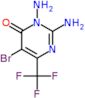 2,3-diamino-5-bromo-6-(trifluoromethyl)pyrimidin-4(3H)-one