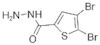 2,3-DIBROMO-5-THIOPHENECARBOXYLIC ACID HYDRAZIDE