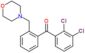 (2,3-dichlorophenyl)-[2-(morpholinomethyl)phenyl]methanone