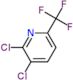 2,3-Dichloro-6-(trifluoromethyl)pyridine