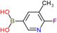 (6-Fluoro-5-methylpyridin-3-yl)boronic acid