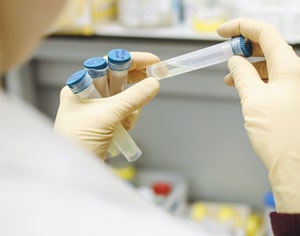 Precision and sensitivity: exploring the different ELISA Kits