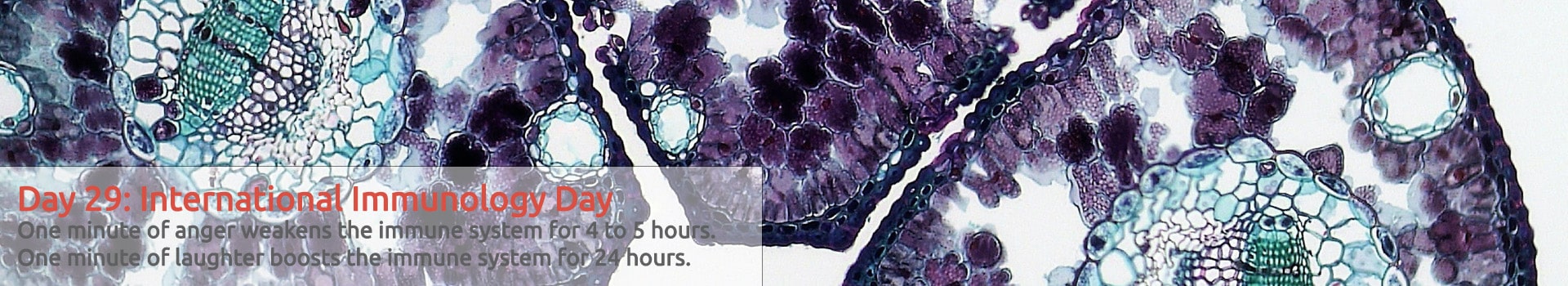 29th of April, International Day of Immunology