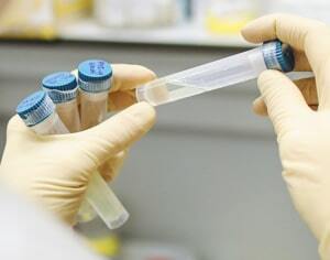Nouveautés des produits pour les sciences de la vie : Cocktails d’inhibiteurs et kits liés au cycl…