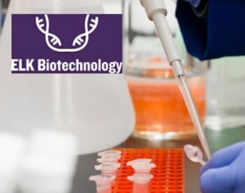 Introducing our new ELISA Kits Brand: ELK Biotechnology