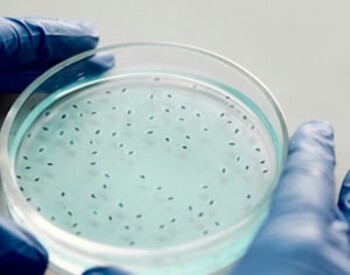 Essential products for microbiological quality control labs