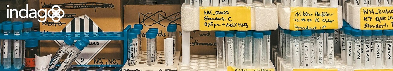Das Potenzial von Building Blocks für Innovation und Effizienz freisetzen