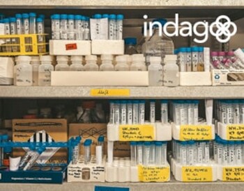 Unlocking the potential of building blocks for innovation and efficiency