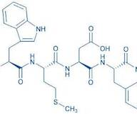 Gastrin Tetrapeptide