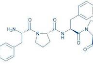 β-Casomorphin (1-4) amide (bovine)