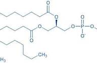 L-β-Oleoyl-γ-palmitoyl-α-lecithin