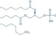 1,2-Dipalmitoyl-sn-glycero-3-phosphoethanolamine