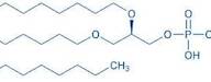 1,2-O-Dihexadecyl-sn-glycero-3-phosphoethanolamine