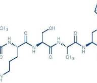 Osteostatin (1-5) amide (human, bovine, dog, horse, mouse, rabbit, rat)