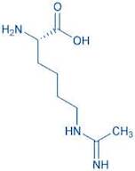 H-Lys(acetimidoyl)-OH
