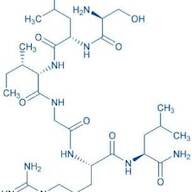 PAR-2 (1-6) amide (mouse, rat)