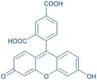 5-Carboxy-fluorescein