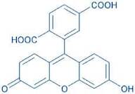6-Carboxy-fluorescein