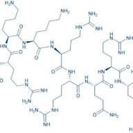 HIV-1 tat Protein (47-57)