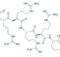 Octaarginine