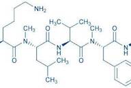 Acetyl-(N-Me-Leu¹⁷,N-Me-Phe¹⁹)-Amyloid β-Protein (16-20) amide