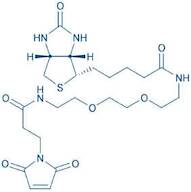 Biotinyl-PEG2-maleimide