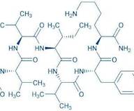 Acetyl-PHF6QV amide