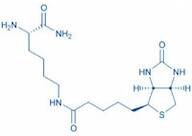 H-Lys(biotinyl)-NH₂