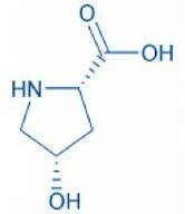 (2S,4S)-4-Hydroxypyrrolidine-2-carboxylic acid