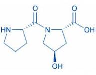 Dipeptide-6