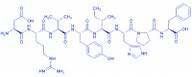 Angiotensin II