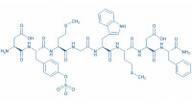 Cholecystokinin Octapeptide (sulfated)