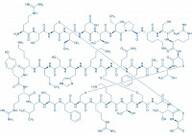 Stichodactyla helianthus Neurotoxin (ShK)