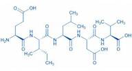 Fibronectin CS-1 Fragment (1978-1982)