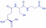 Homoglutathione
