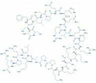 (Des-octanoyl)-Ghrelin (human)