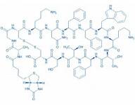 Biotinyl-Somatostatin-14