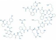 Acetyl-ACTH (7-24) (human, bovine, rat)