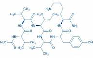 Acetyl-PHF6QV amide