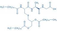 Palmitoyl-Cys((RS)-2,3-di(palmitoyloxy)-propyl)-Ala-Gly-OH