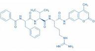 Thrombin Substrate III, Fluorogenic