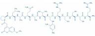 Mca-(endo-1a-Dap(Dnp))-TNF-a (-5 to +6) amide (human)