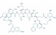 Mca-(Asn670,Leu671)-Amyloid b/A4 Protein Precursor770 (667-675)-Lys(Dnp)