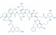 Mca-(Asn⁶⁷⁰,Leu⁶⁷¹)-Amyloid β/A4 Protein Precursor₇₇₀ (667-675)-Lys(Dnp) amide