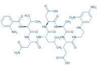 Abz-(Asn670,Leu671)-Amyloid b/A4 Protein Precursor770 (669-674)-EDDnp