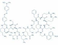 DABCYL-Lys-HCoV-SARS Replicase Polyprotein 1ab (3235-3246)-Glu-EDANS
