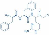 DPhe-Phe-Arg-chloromethylketone