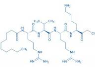 Decanoyl-Arg-Val-Arg-Lys-chloromethylketone