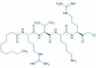 Dec-RVKR-CMK, Furin Inhibitor I, Furin Convertase Inhibitor (Chloromethylketone)