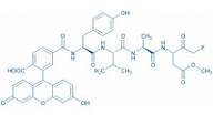 Fluorescein-6-carbonyl-Tyr-Val-Ala-DL-Asp(OMe)-fluoromethylketone